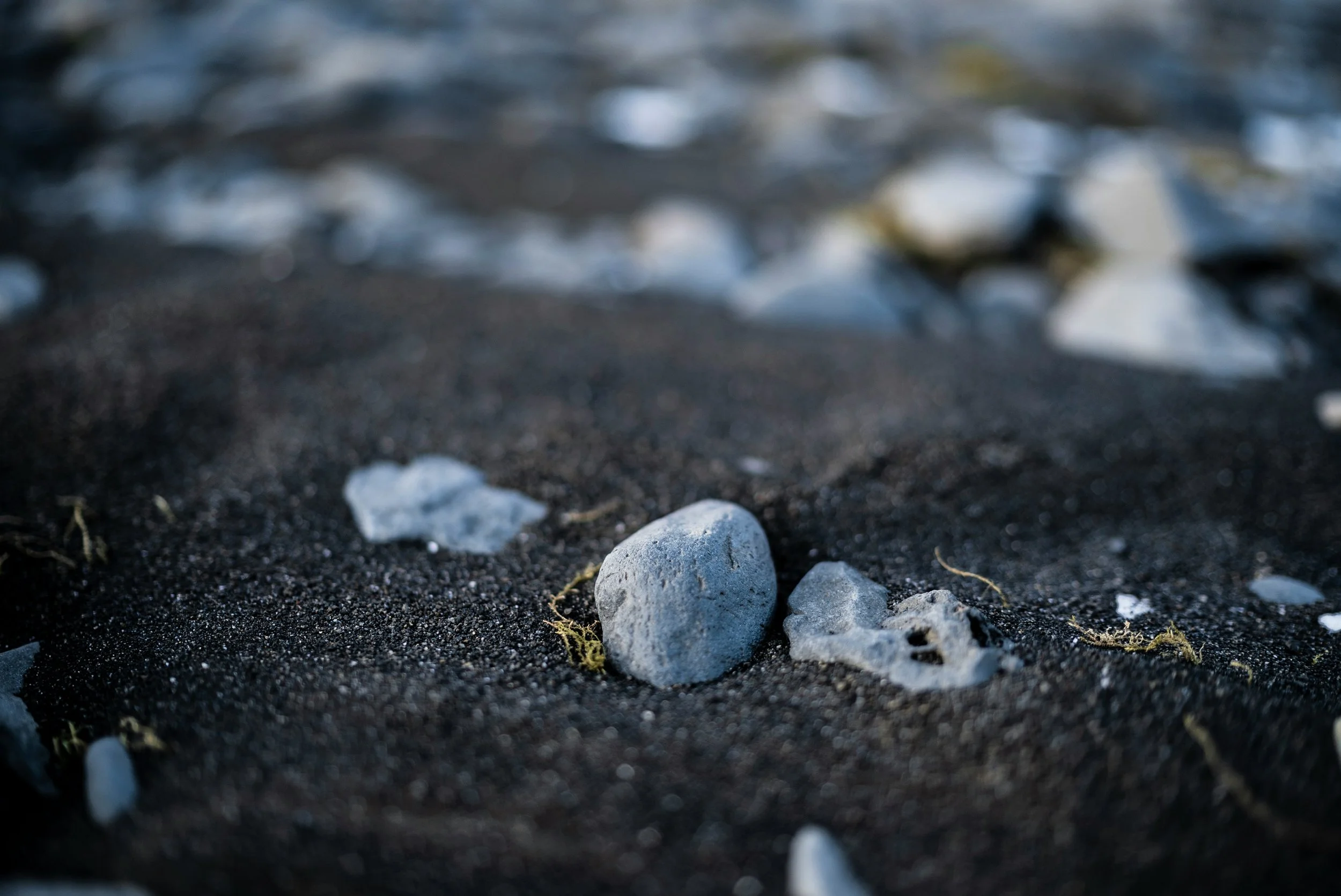 A single stone with moss in a quiet natural setting, representing a grounded, non-verbal container for private family remembrance.