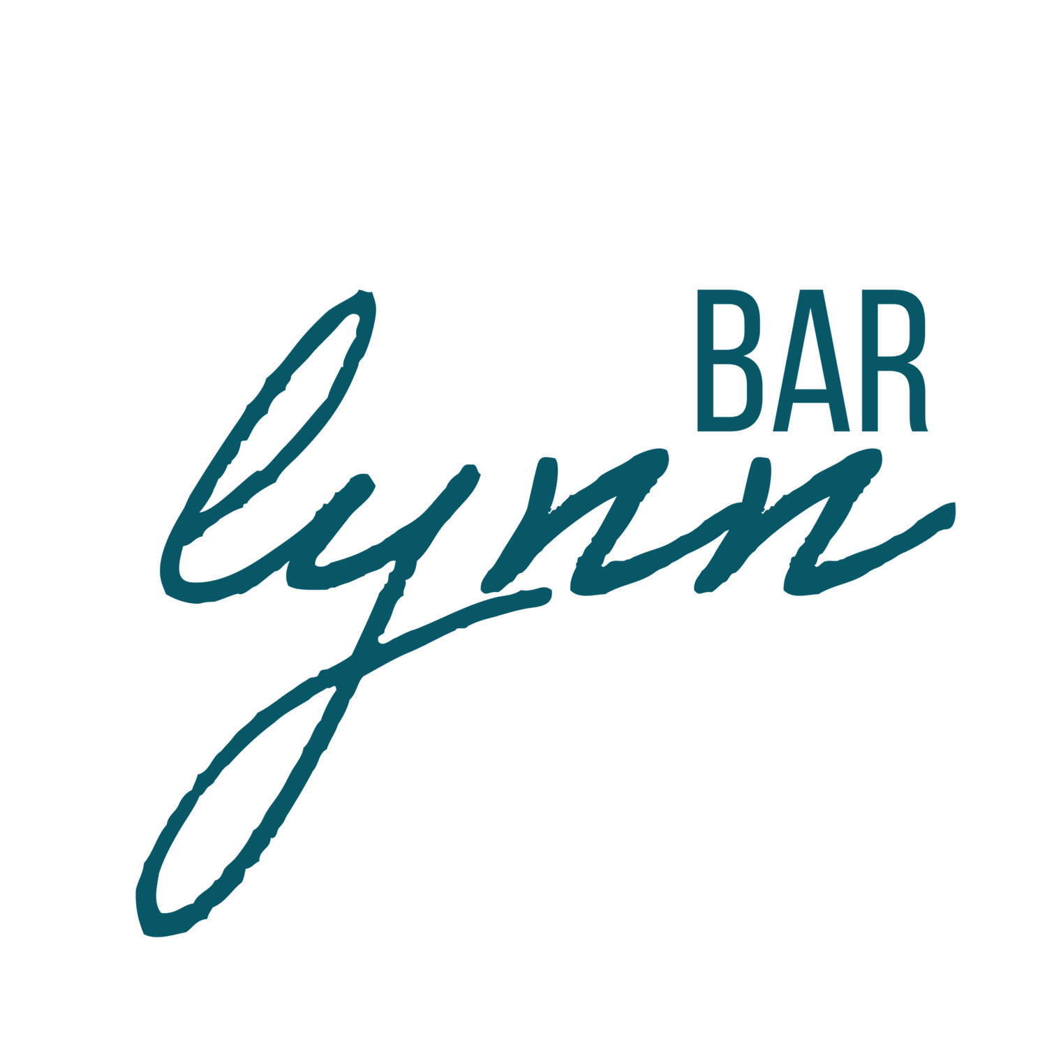 Home - Bar Lynn