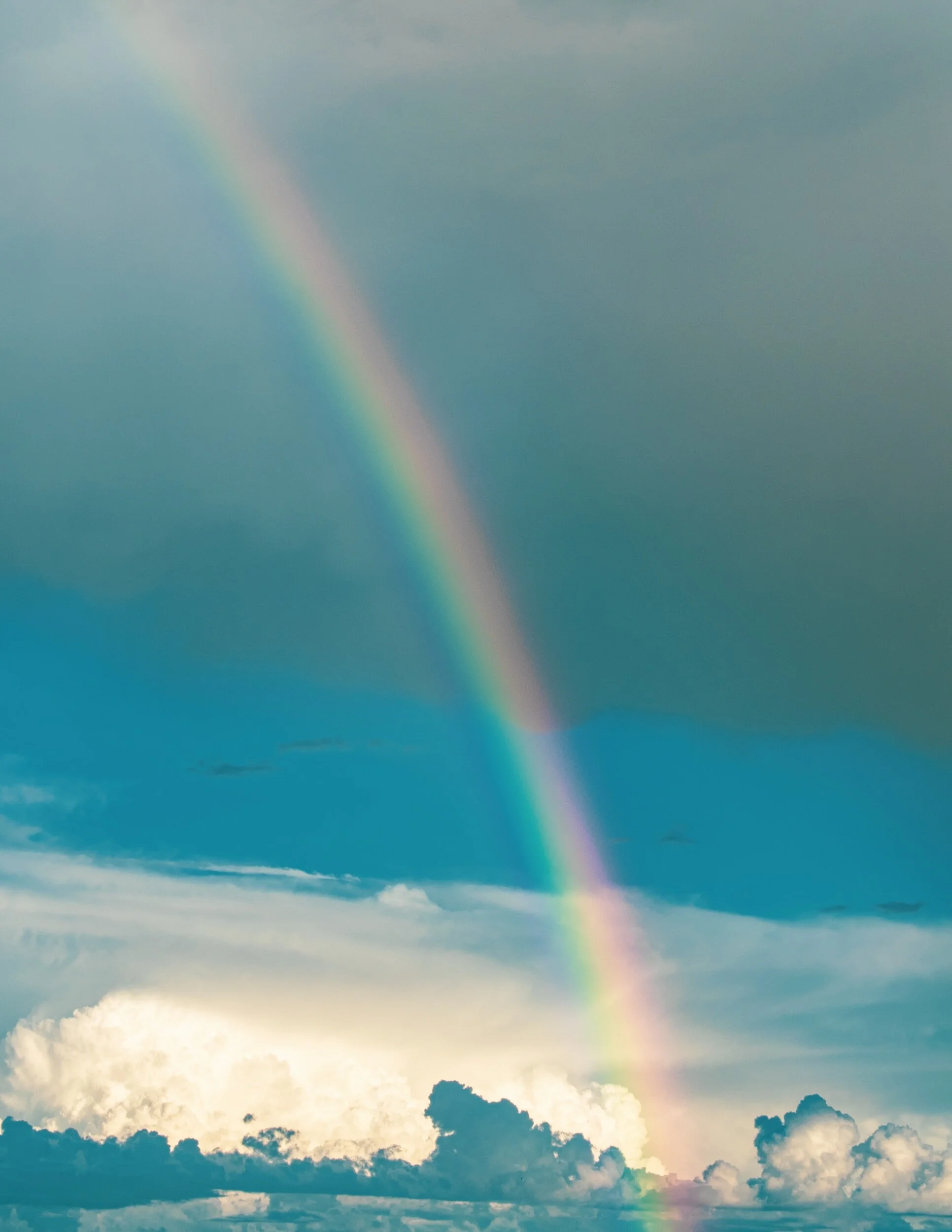 Spring Equinox… The Great Renewal