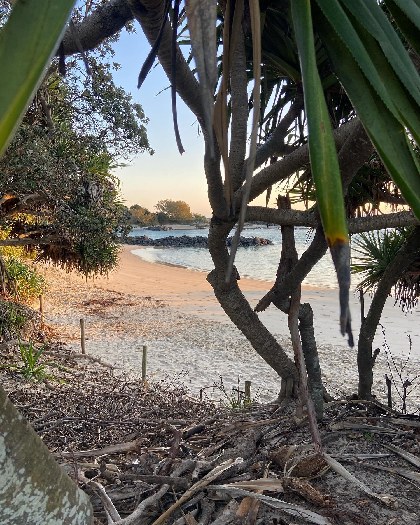 Bringing in the Spring Equinox with some nourishing ocean time! Feeling the beautiful balance in the air, enjoying the freshness of renewal. Seeding prosperity, unity, love and abundance for all. ❤️🌎🌱🌊