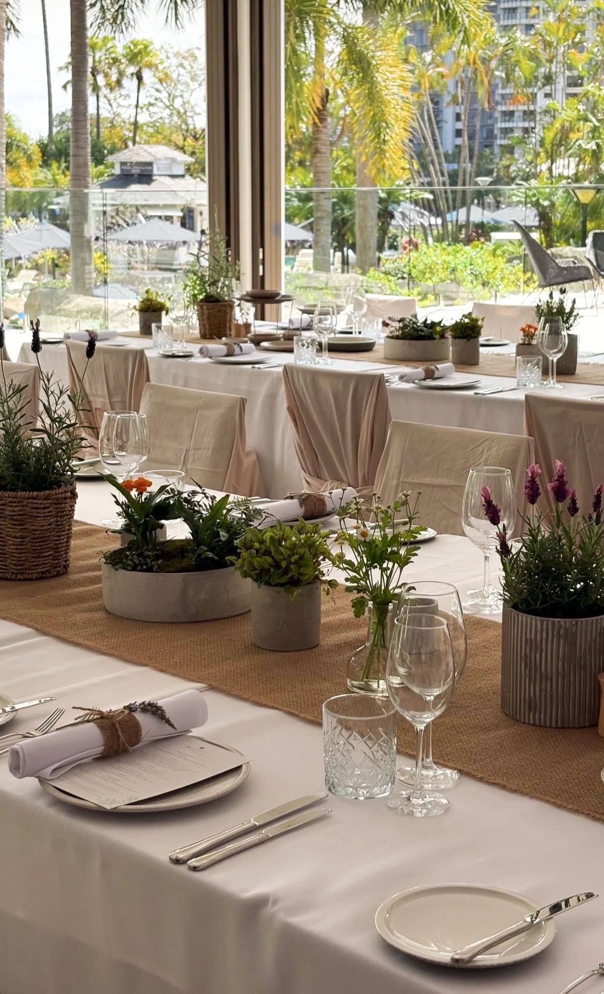 WhatsApp Image 2026-01-06 at 8.15.19 PM (2).jpeg