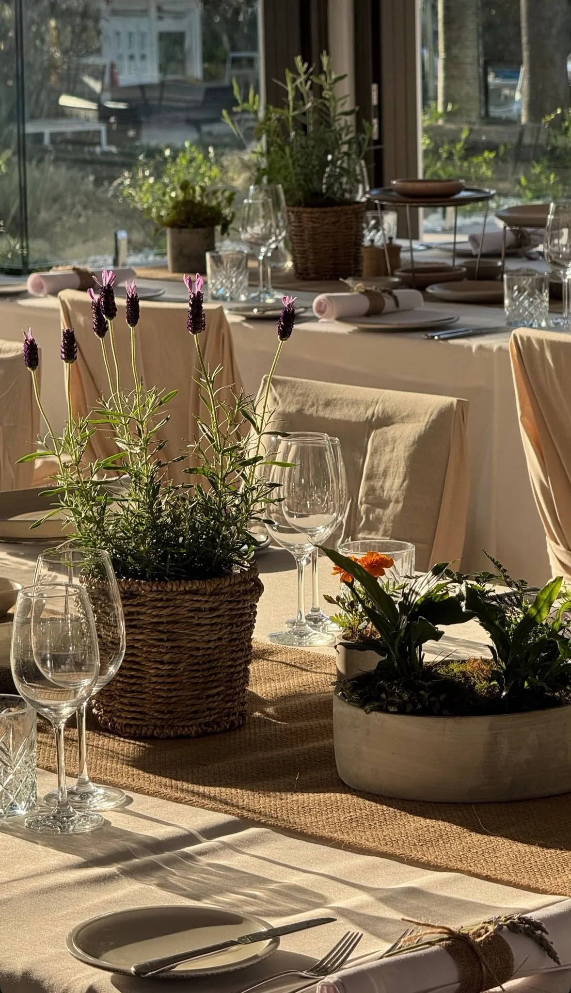 WhatsApp Image 2026-01-06 at 8.15.18 PM (2).jpeg