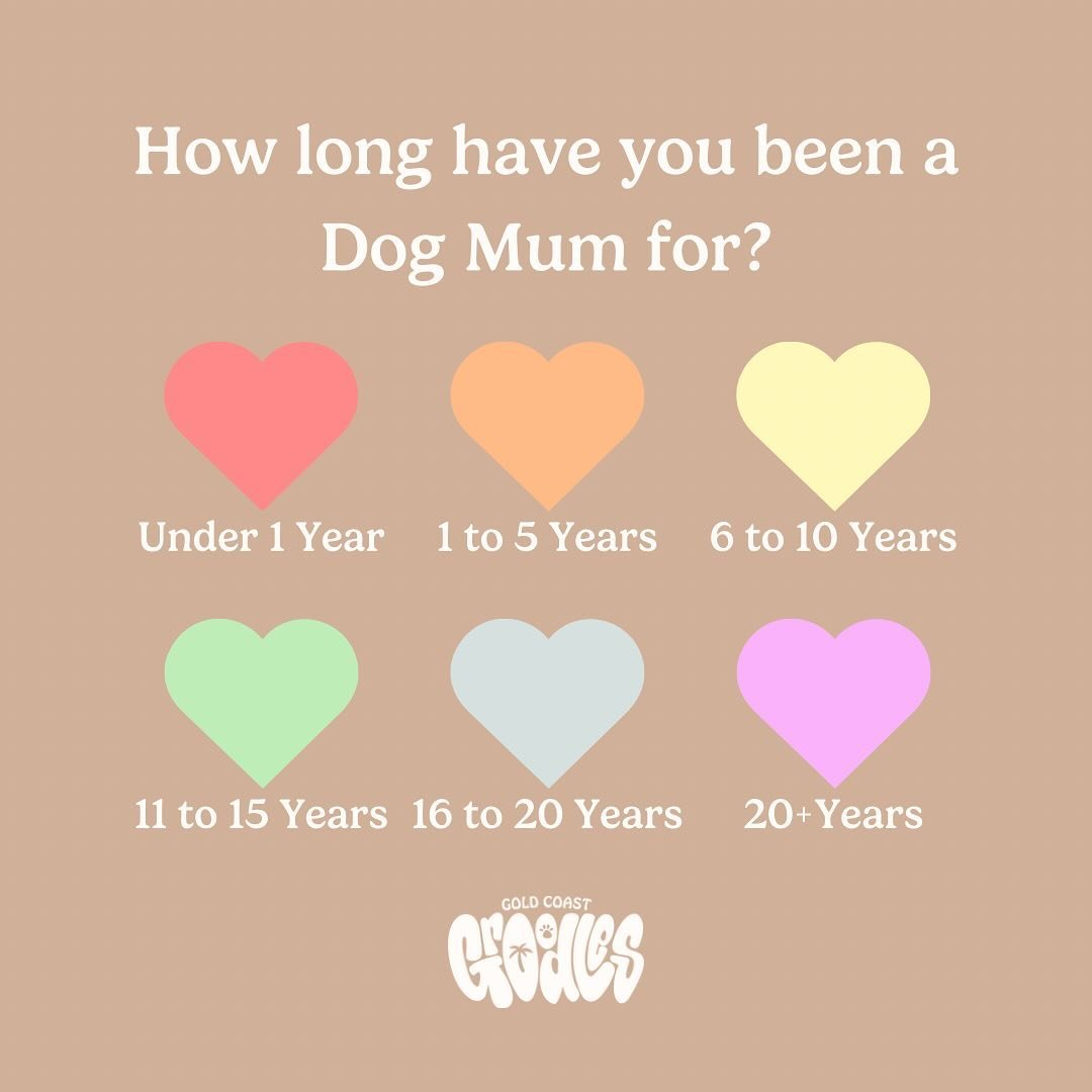 We see you, Dog Mumma! COMMENT YOUR EMOJI BELOW ❤️🧡💛💚🩵💜 Happy Mother&rsquo;s Day to all the beautiful Mummas out there with children and/or fur babies! You deserve to be celebrated for all the nurturing love you give. #goldcoastgroodles #gcgfami