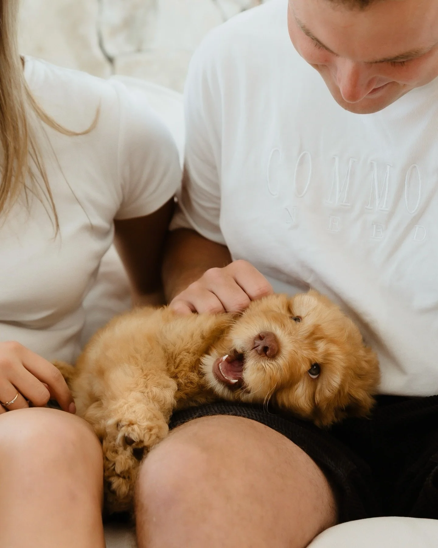 Hoping your long weekend is as joy filled as the time Ted met his forever family! The look of love! 🥹
#gcgfamily #goldcoastgroodles