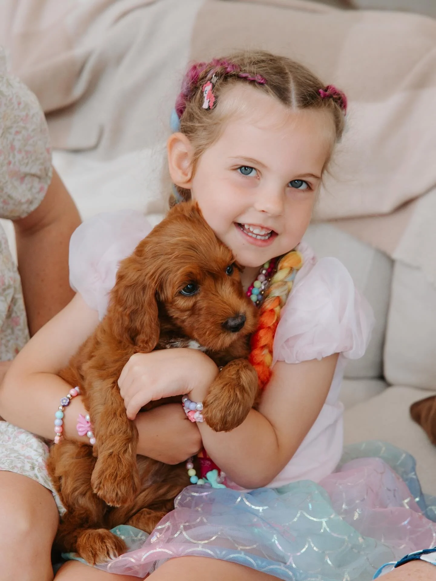 A Christmas to remember for the Scott family 🎄 #gcgfamily #goldcoastgroodles