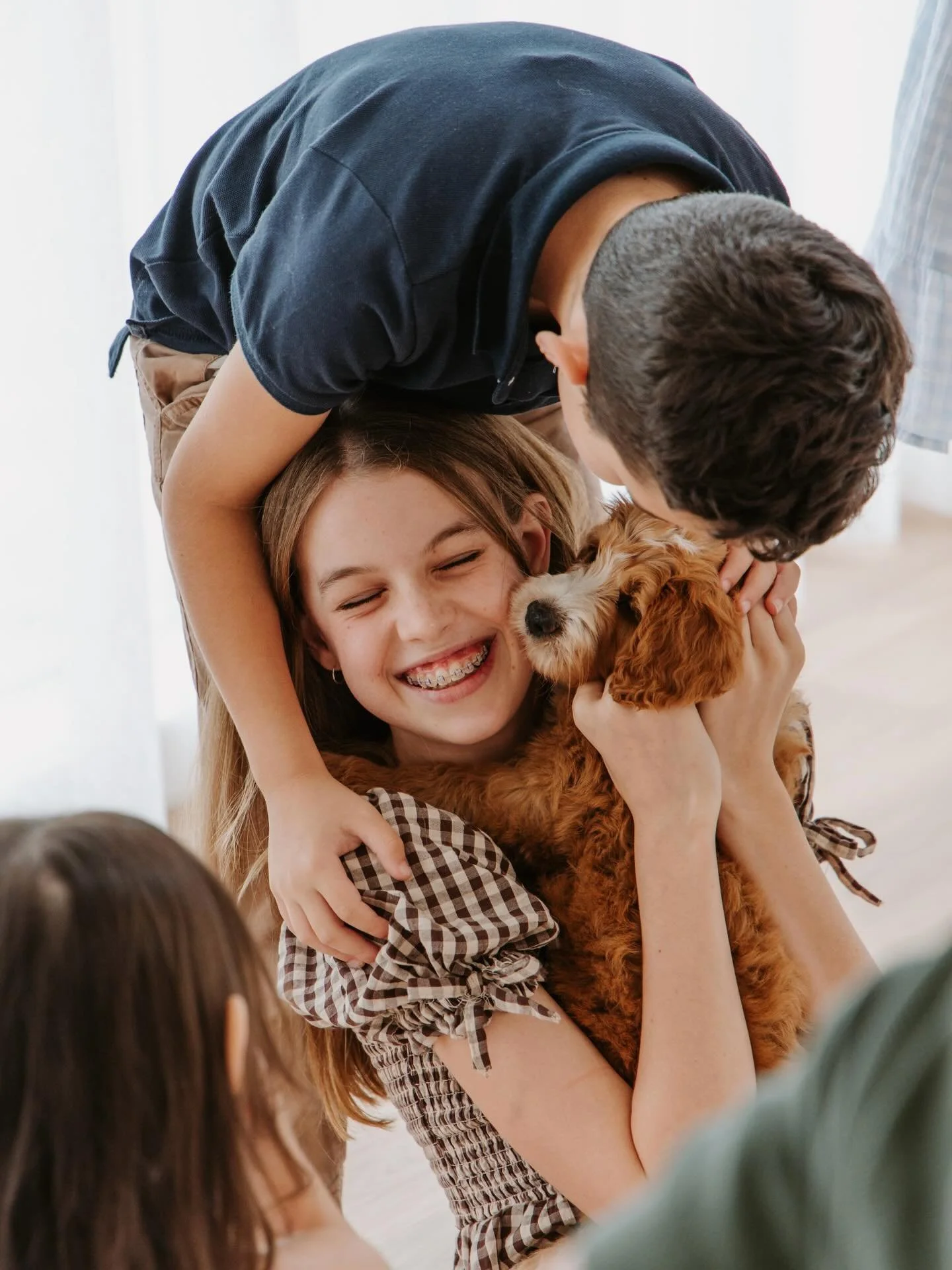 Precious first moments with the whole family. THIS is why we do what we do! 🐾 #goldcoastgroodles #gcgfamily