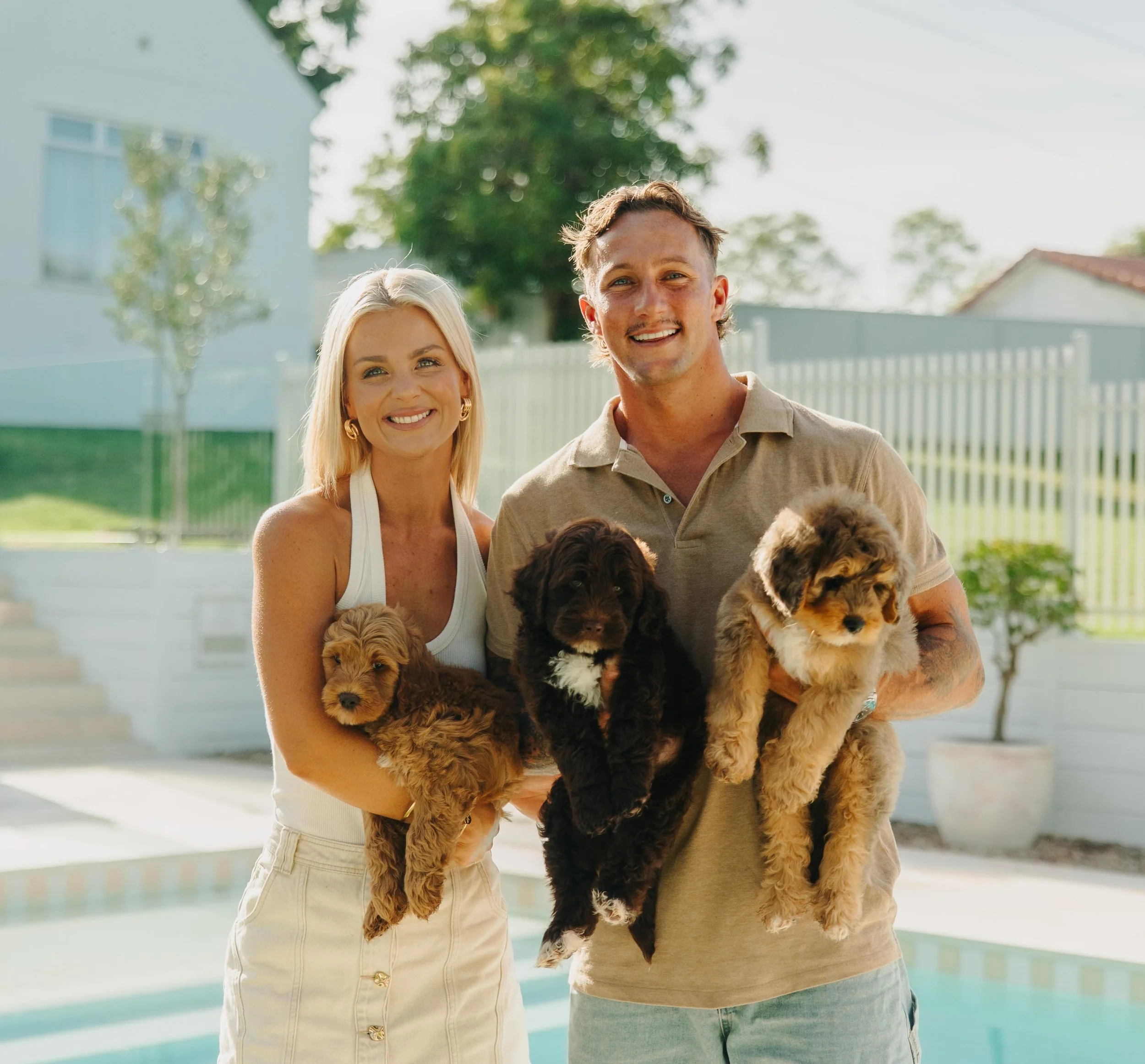 Poolside with our Gold Coast Groodles ☀️🌴💦

Whether it&rsquo;s the pool, beach or sprinklers they always seem to find the water 🤣

A little fun fact, Golden Retrievers were actually originally bred to retrieve ducks from lakes and rivers, which is