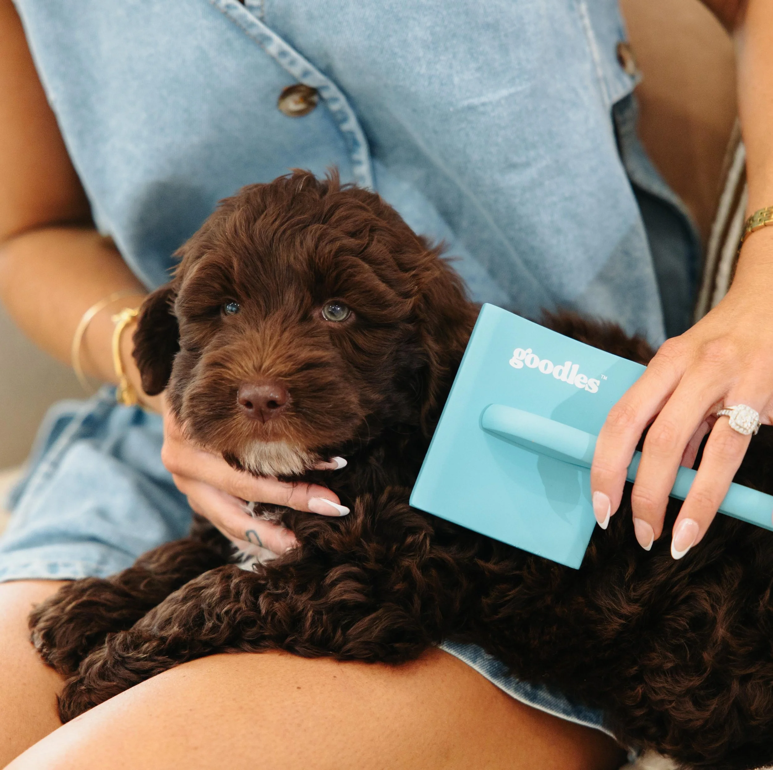 When you&rsquo;re not searching and a product finds YOU, you know it&rsquo;s going to be gooood! @goodles.com.au &lsquo;Everyday Slicker Brush&rsquo; was organically recommended to us by two Gold Coast Groodles families who raved about how non-invasi