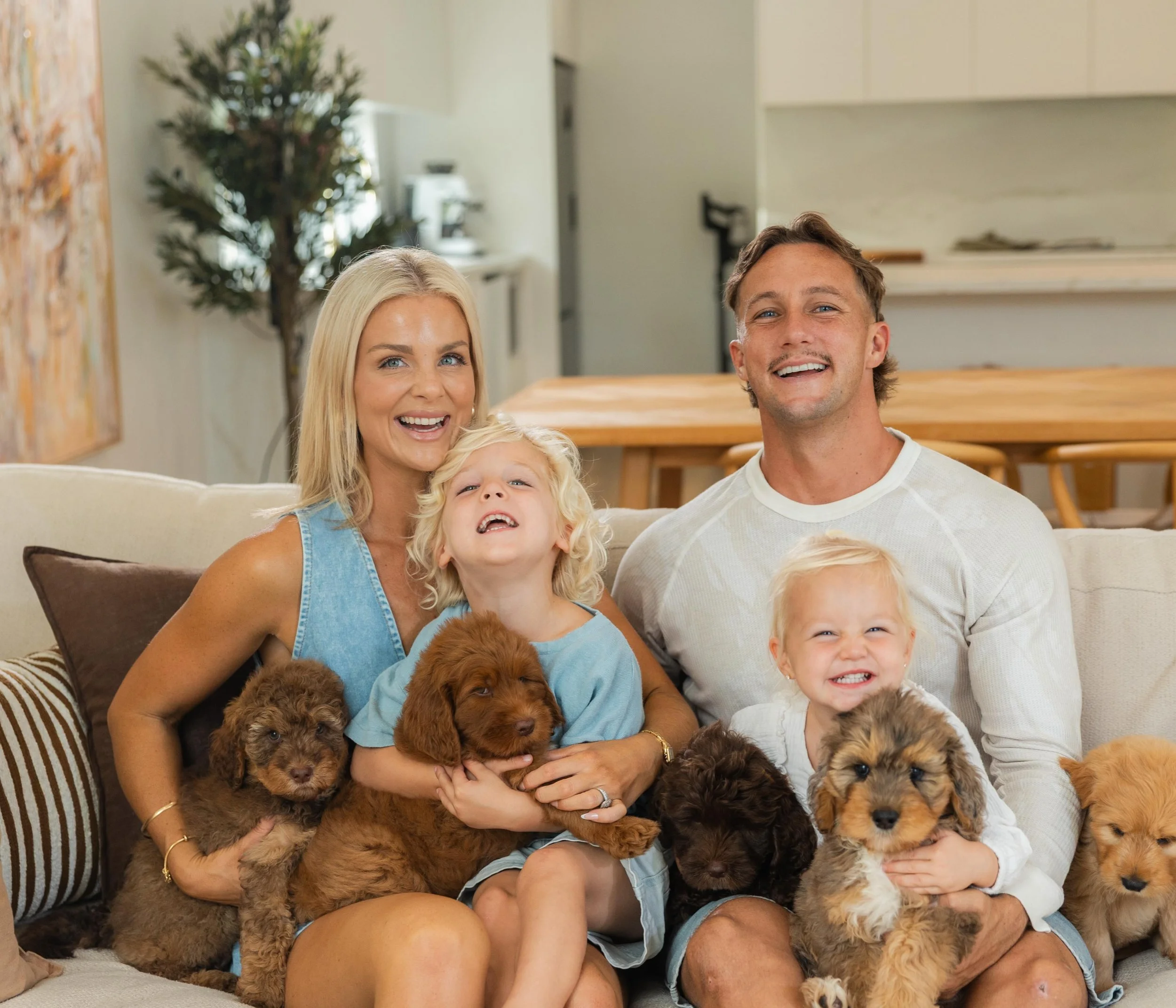 To all of our new followers, let us reintroduce ourselves! 👋🏼 
We&rsquo;re Jarrod &amp; Stacey Davis, and Gold Coast Groodles reflects who we are, people who care deeply about dogs, and just as deeply about the families who welcome them home. 

We 