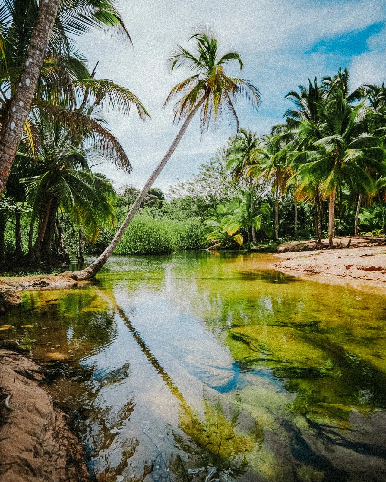 Screenshot 2025-12-15 at 1.31.10 PM.jpg