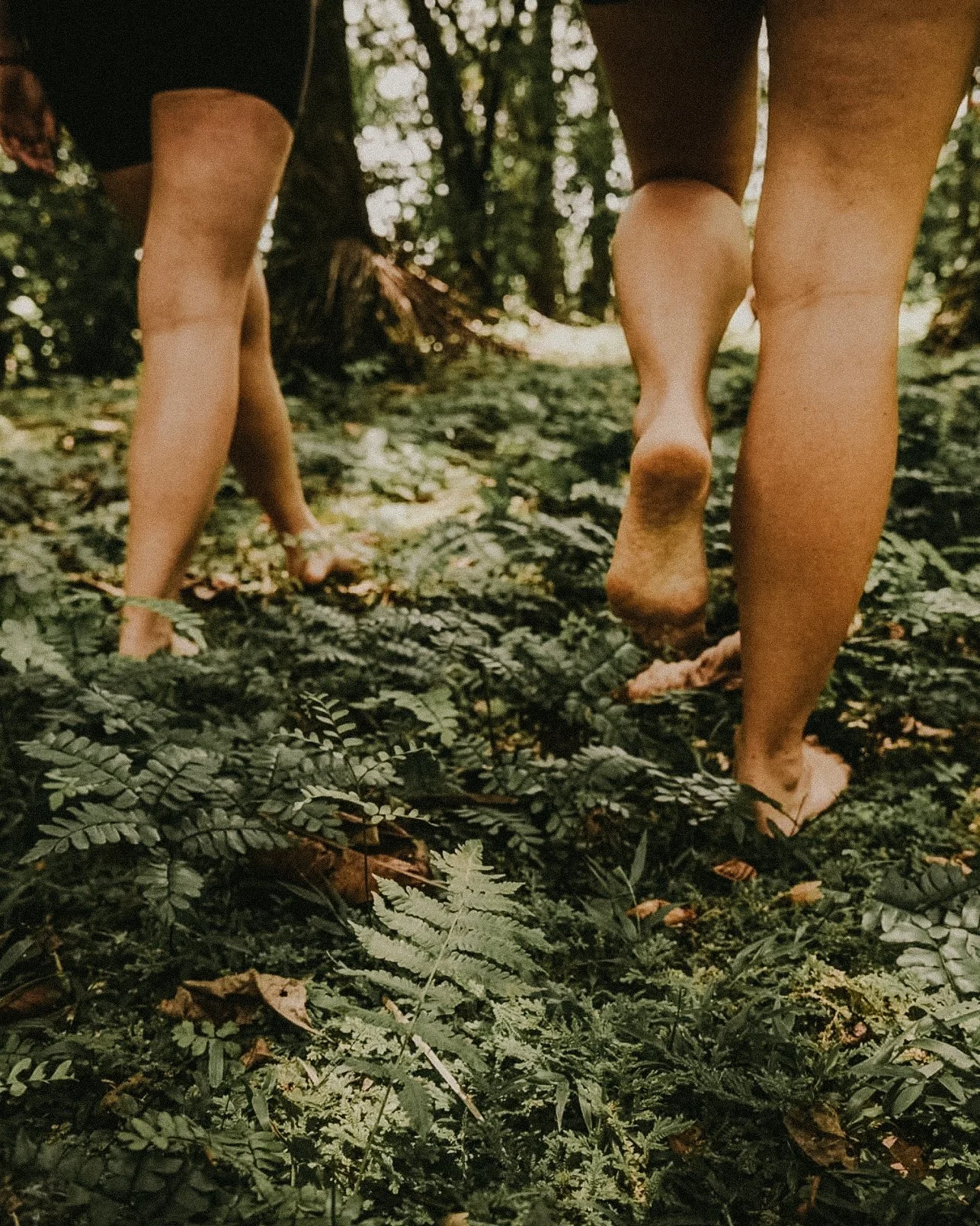 Screenshot 2025-12-15 at 1.48.11 PM.jpg