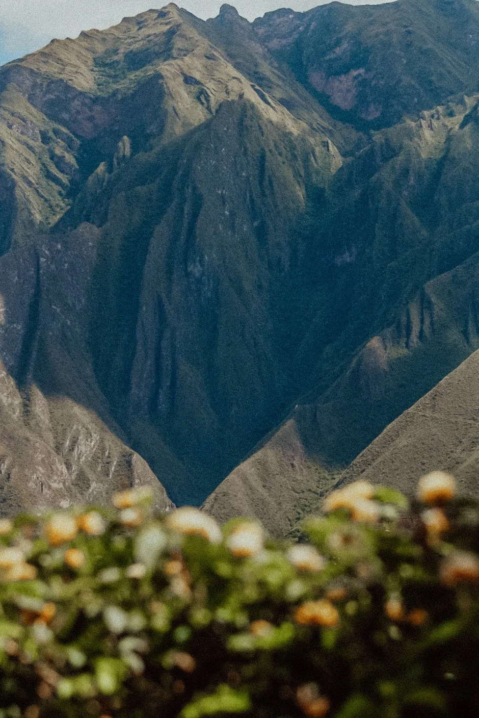 Screenshot 2026-02-26 at 10.45.37 AM.jpg