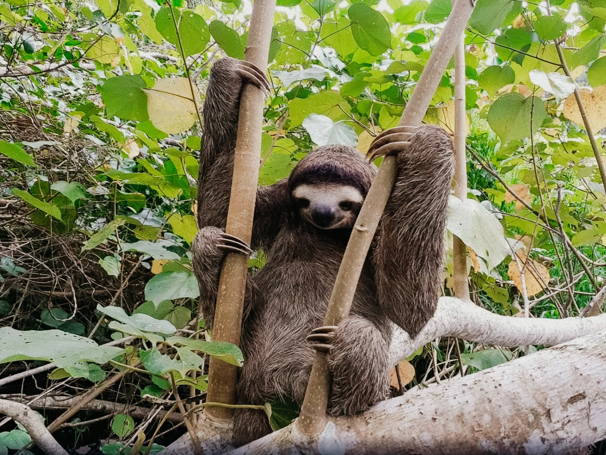 Screenshot 2025-12-16 at 10.44.24 AM.jpg