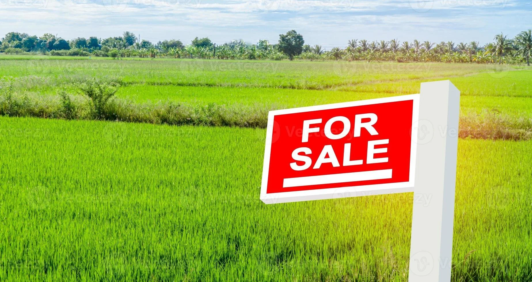 How to Find Land for Sale: A Step-by-Step Guide