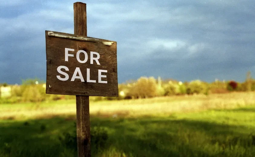 Selling Hunting Land - What You Need To Know Before You Sell