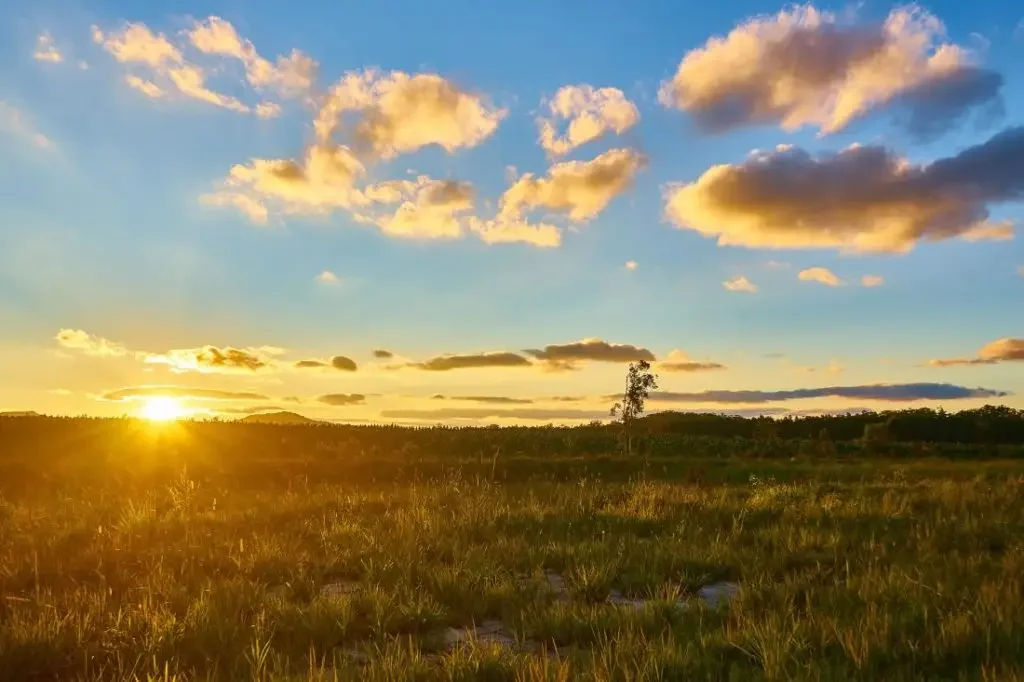 How To Sell Land Online