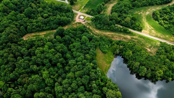 How to Sell Timberland: A Complete Guide for Landowners