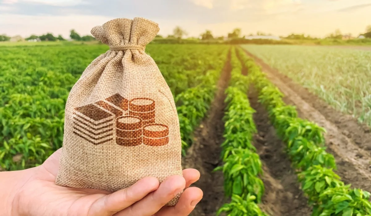 Selling Land With Tax Debt