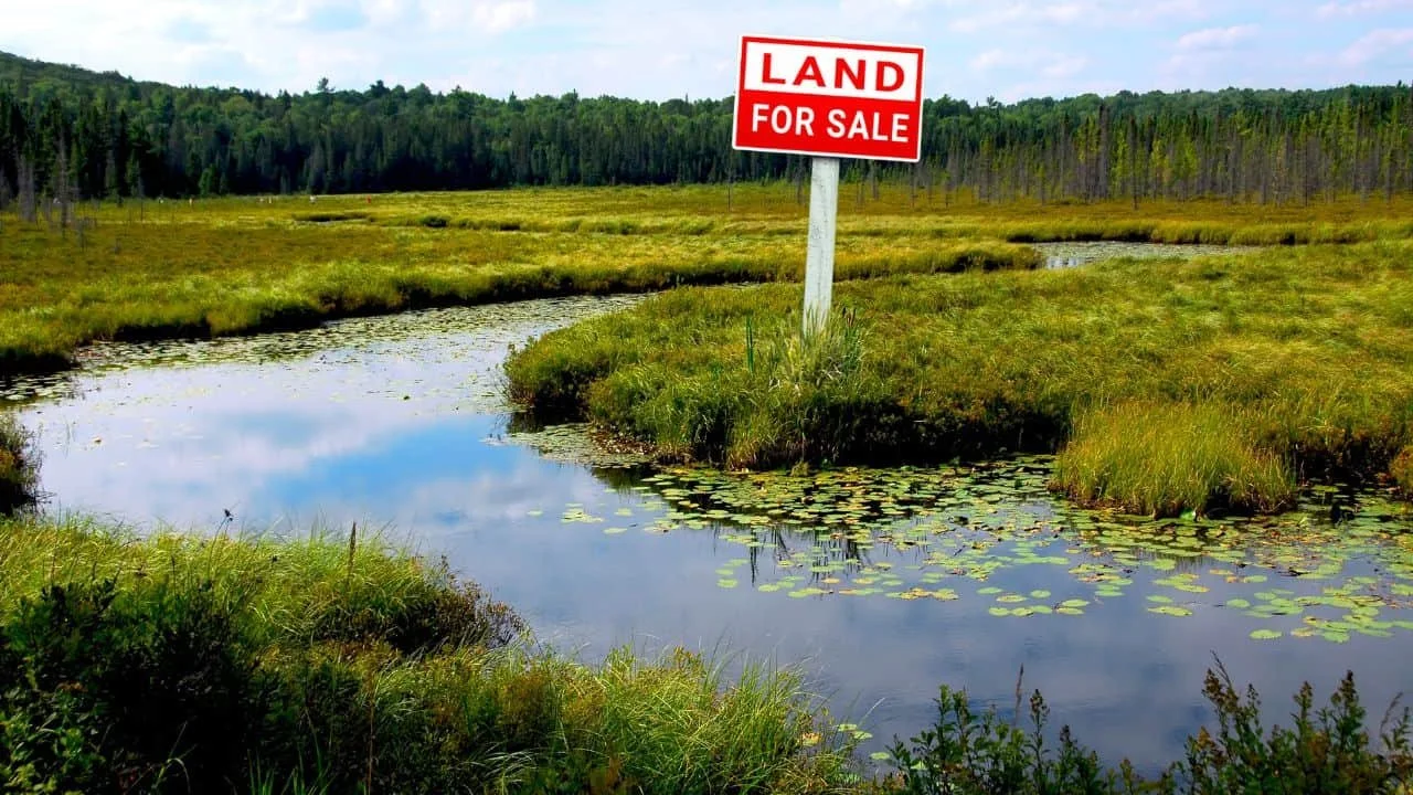 How to Sell Land With Wetlands