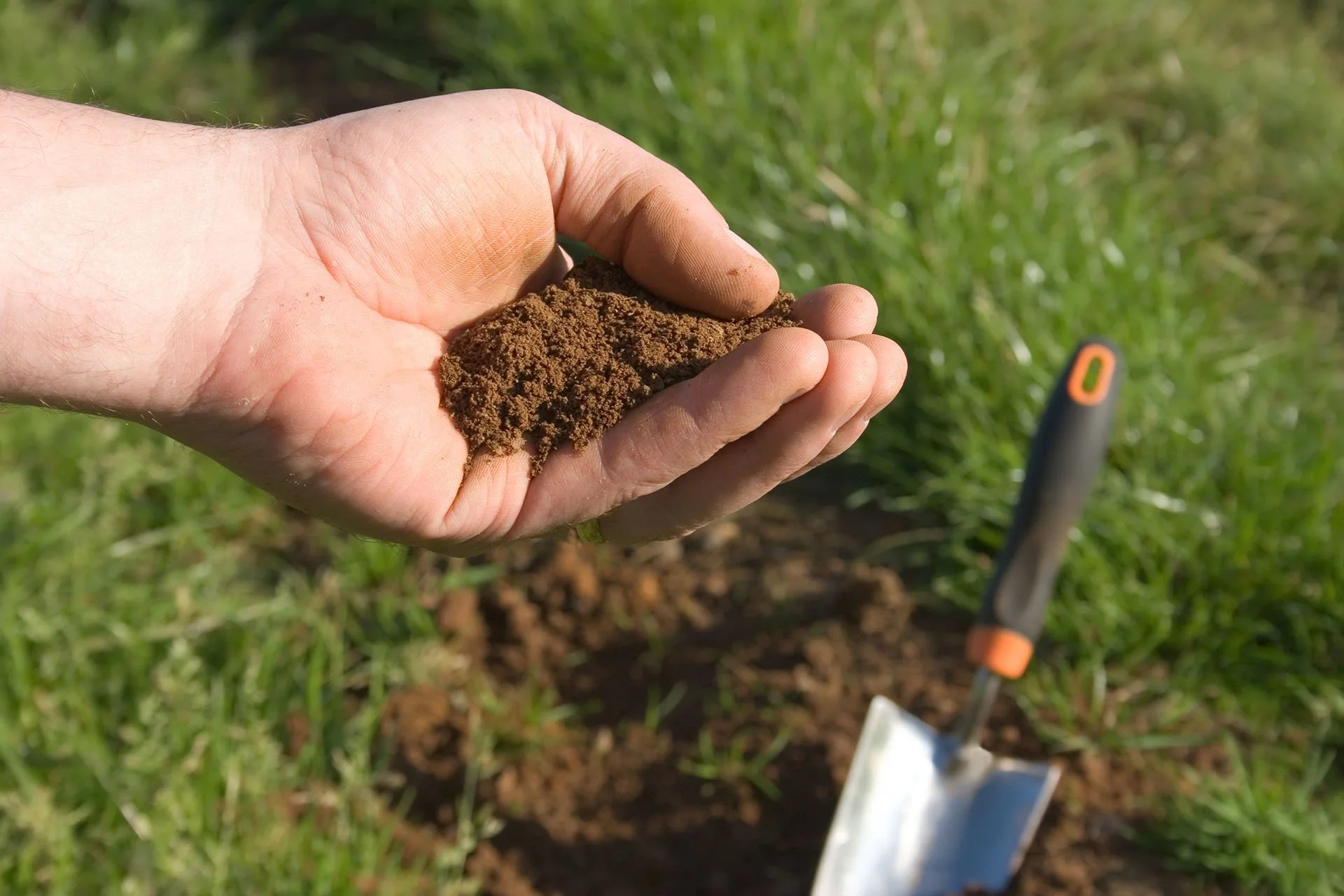 Why Soil Tests May Matter to Land Buyers