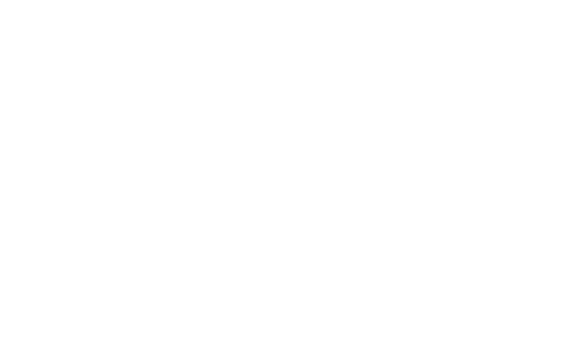 icon of women's pelvic health physiotherapists