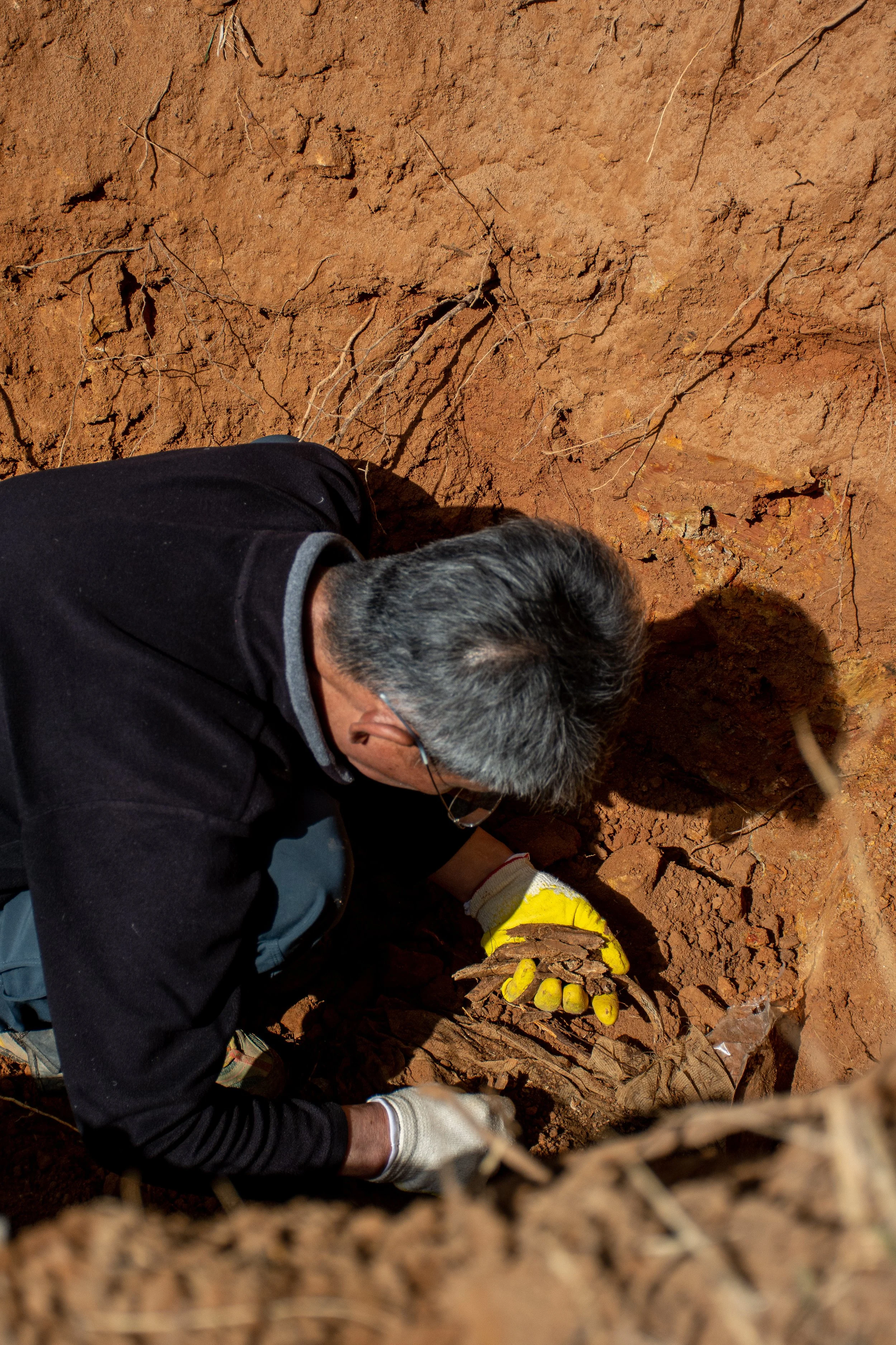 A worker collects the bones of Lee Jong-wook at the family memorial site in Busan.