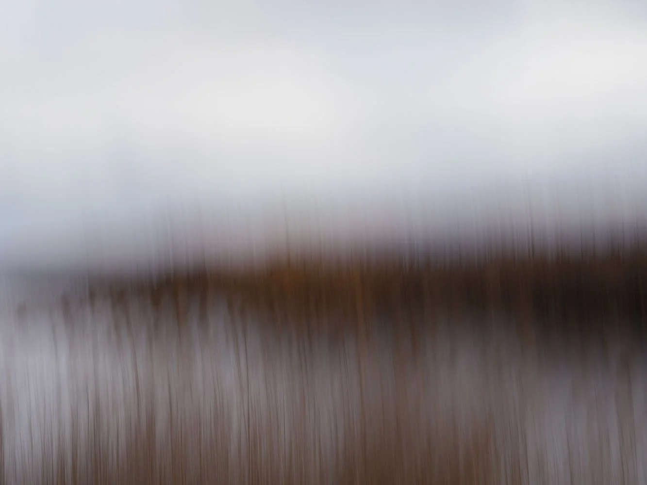 ©SonjaPriller_DSF0335.jpg