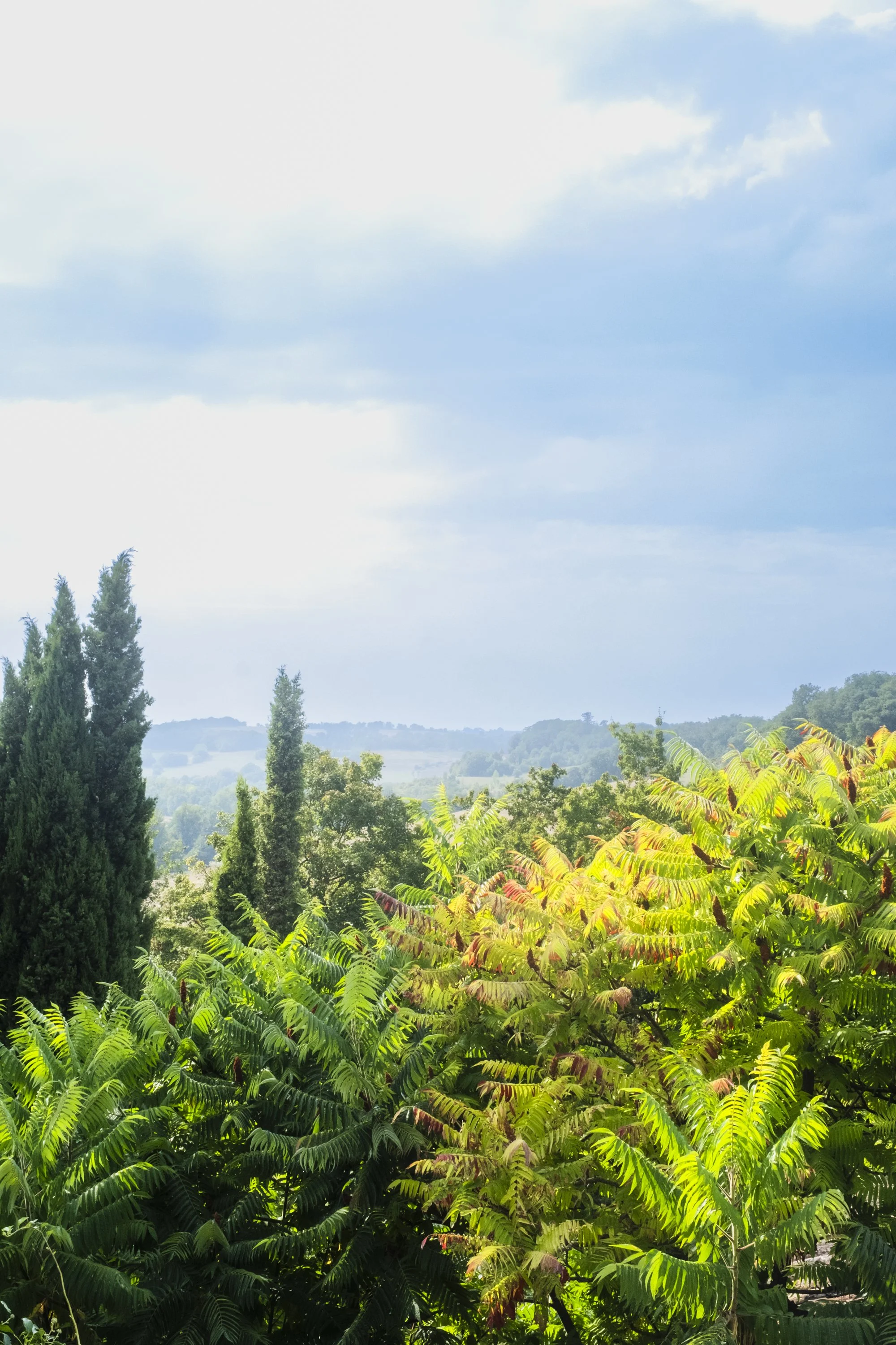 DSCF4091.jpg