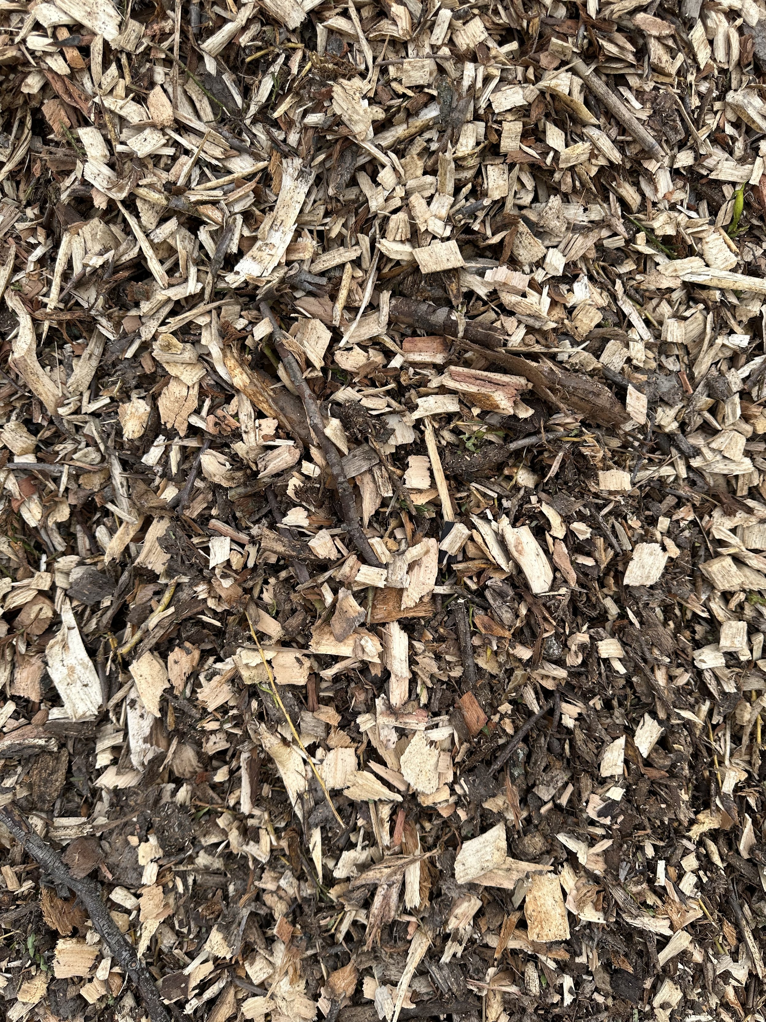 Arbor Chips