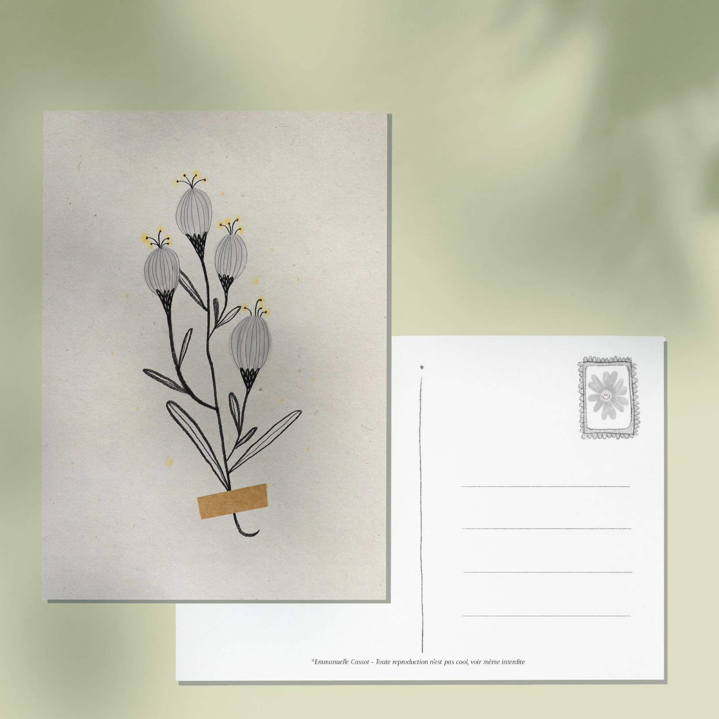 SM_WEB_CARTES POSTALES_FLEUR4.jpg