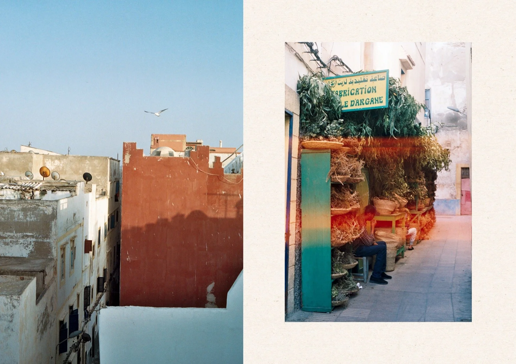 WEB_MEP BLOG v211.jpg