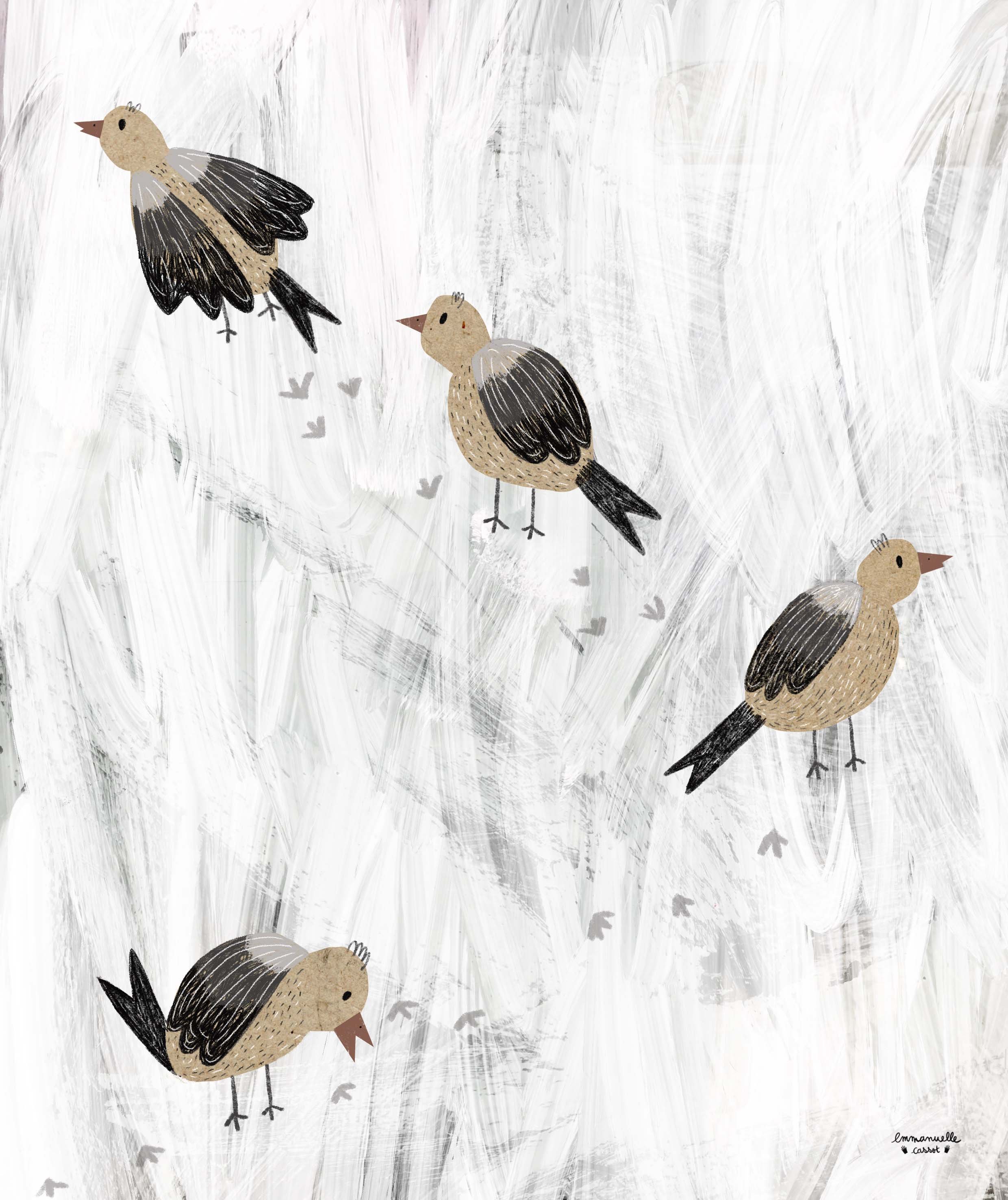 24_oiseaux 2.jpg