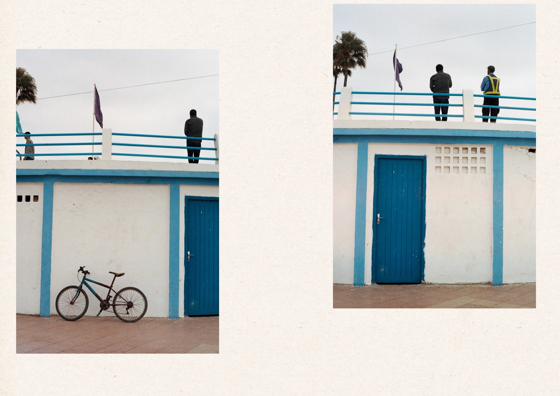 WEB_MEP BLOG v210.jpg