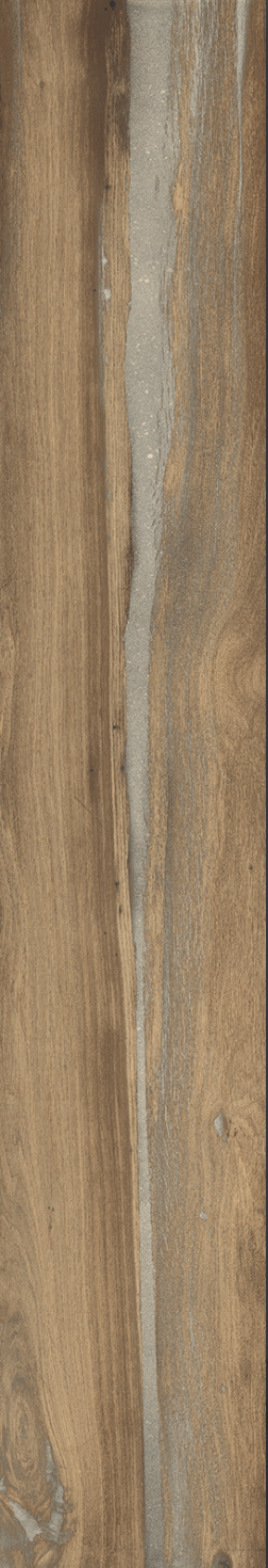 OAK.png
