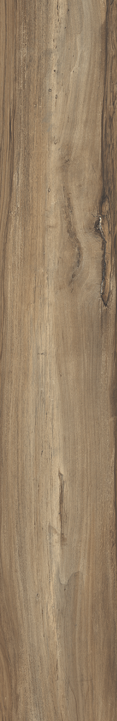 WALNUT.png