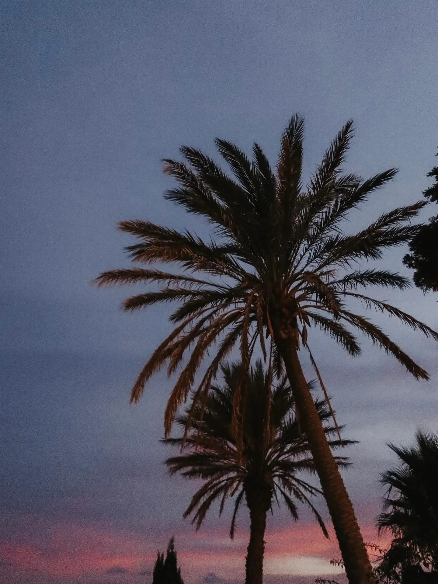 Spanish island summer sunsets