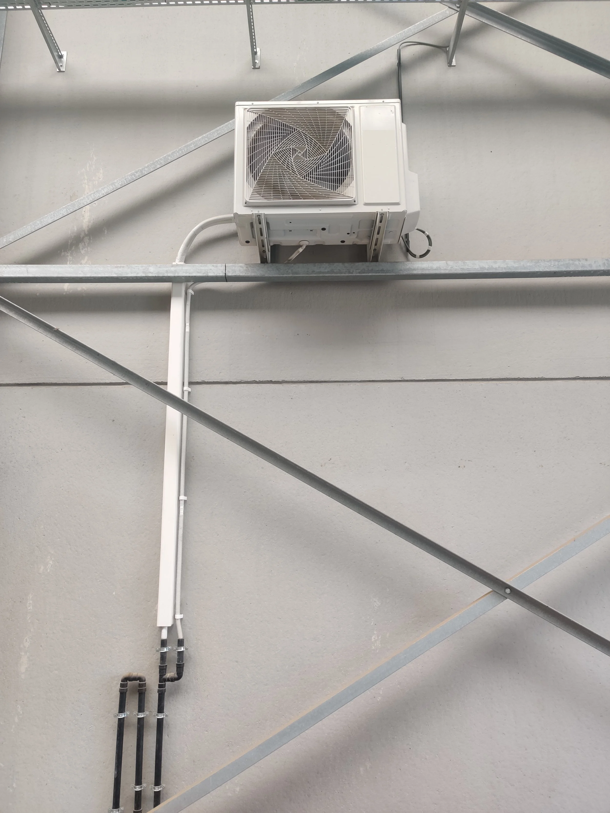 1buitengroep Tom.jpg