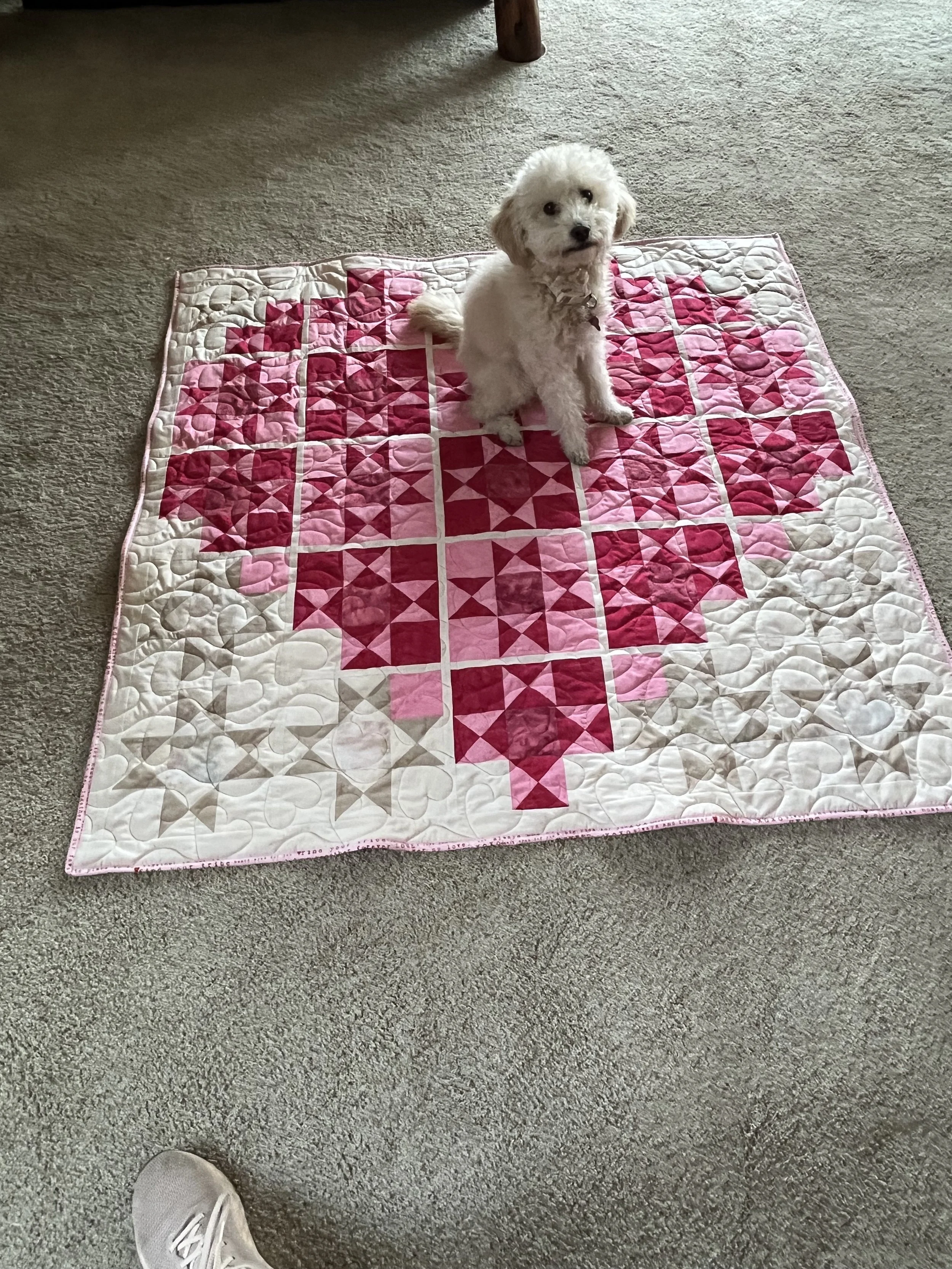  Janice - @quiltnsewbyj 