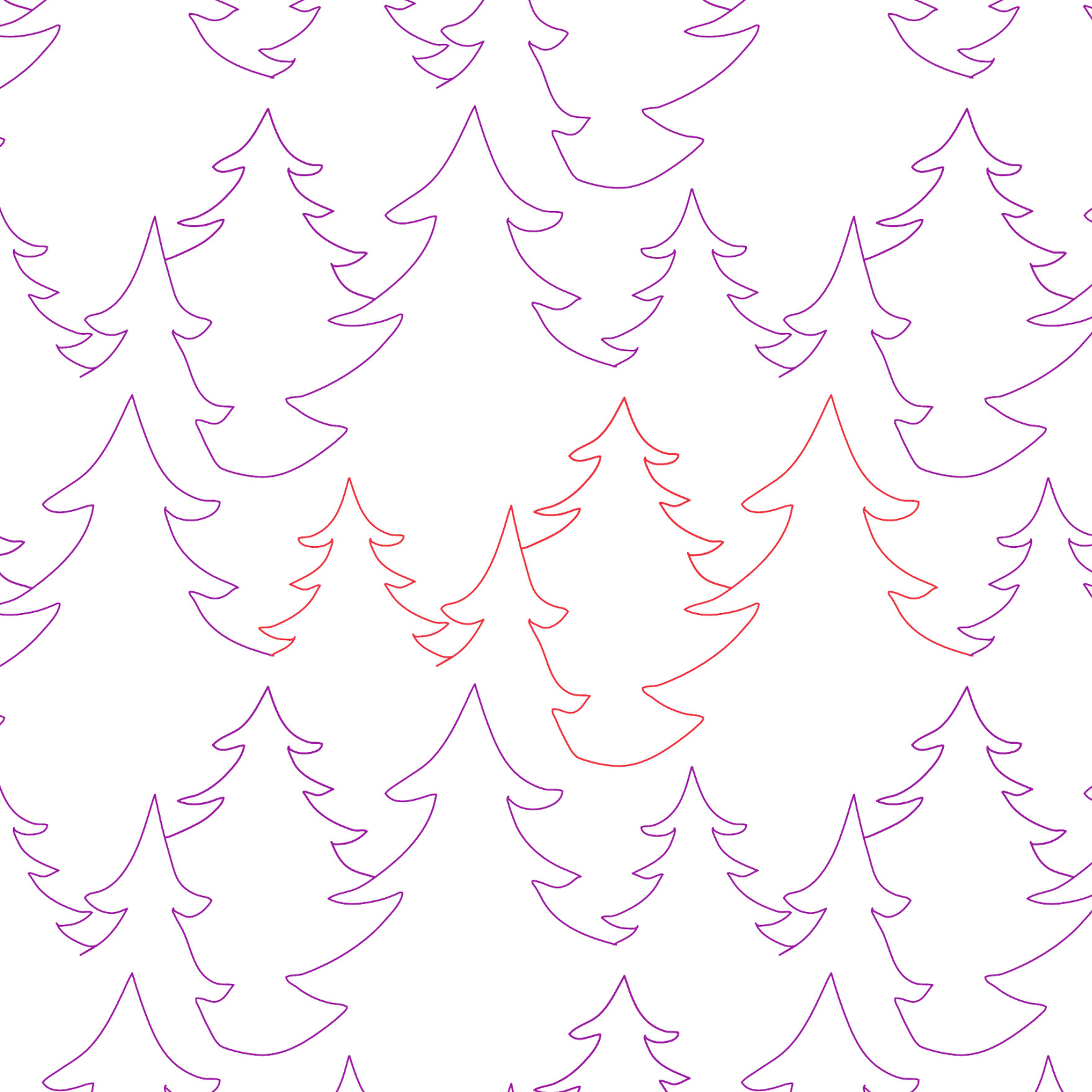Evergreen Forest