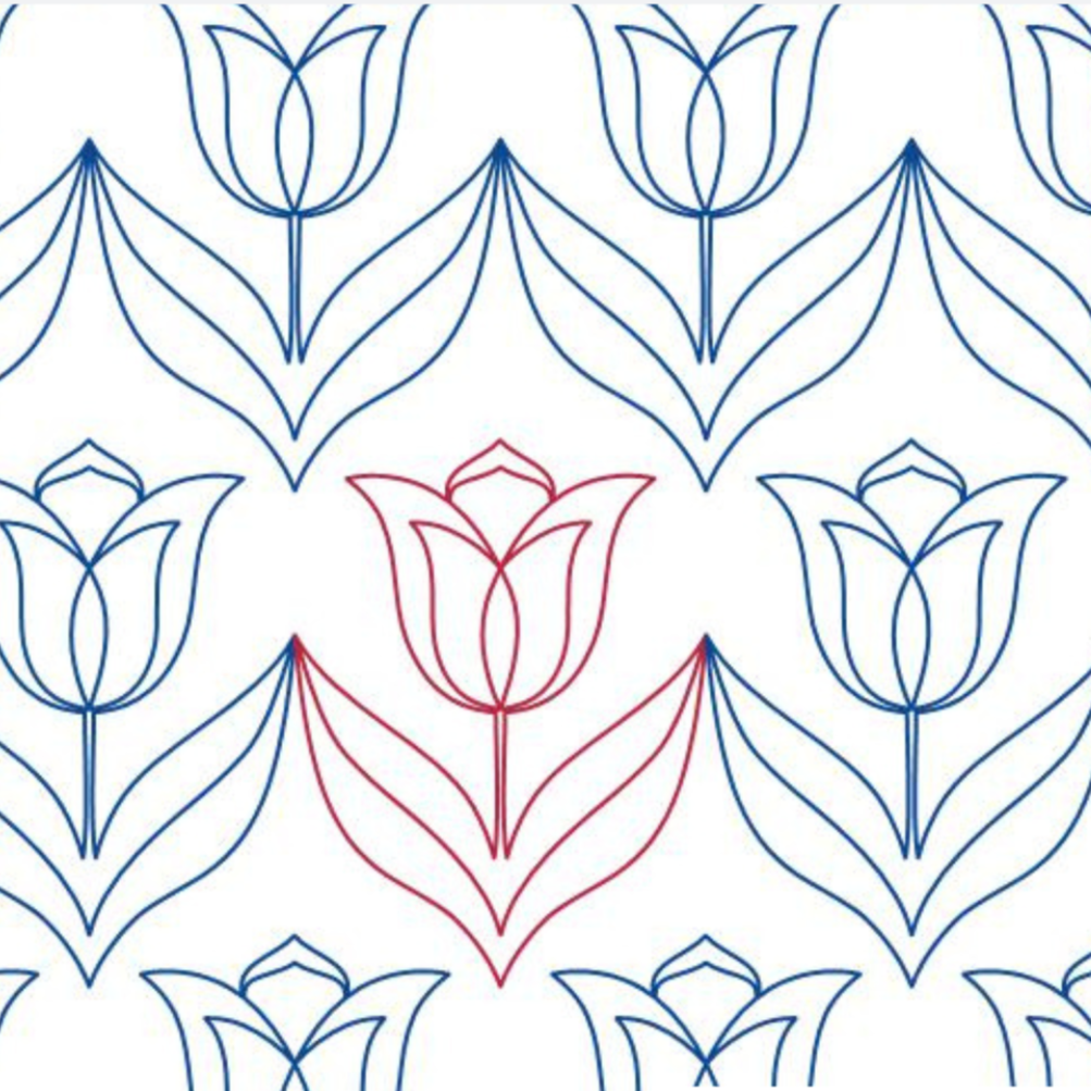 Lady Tulip