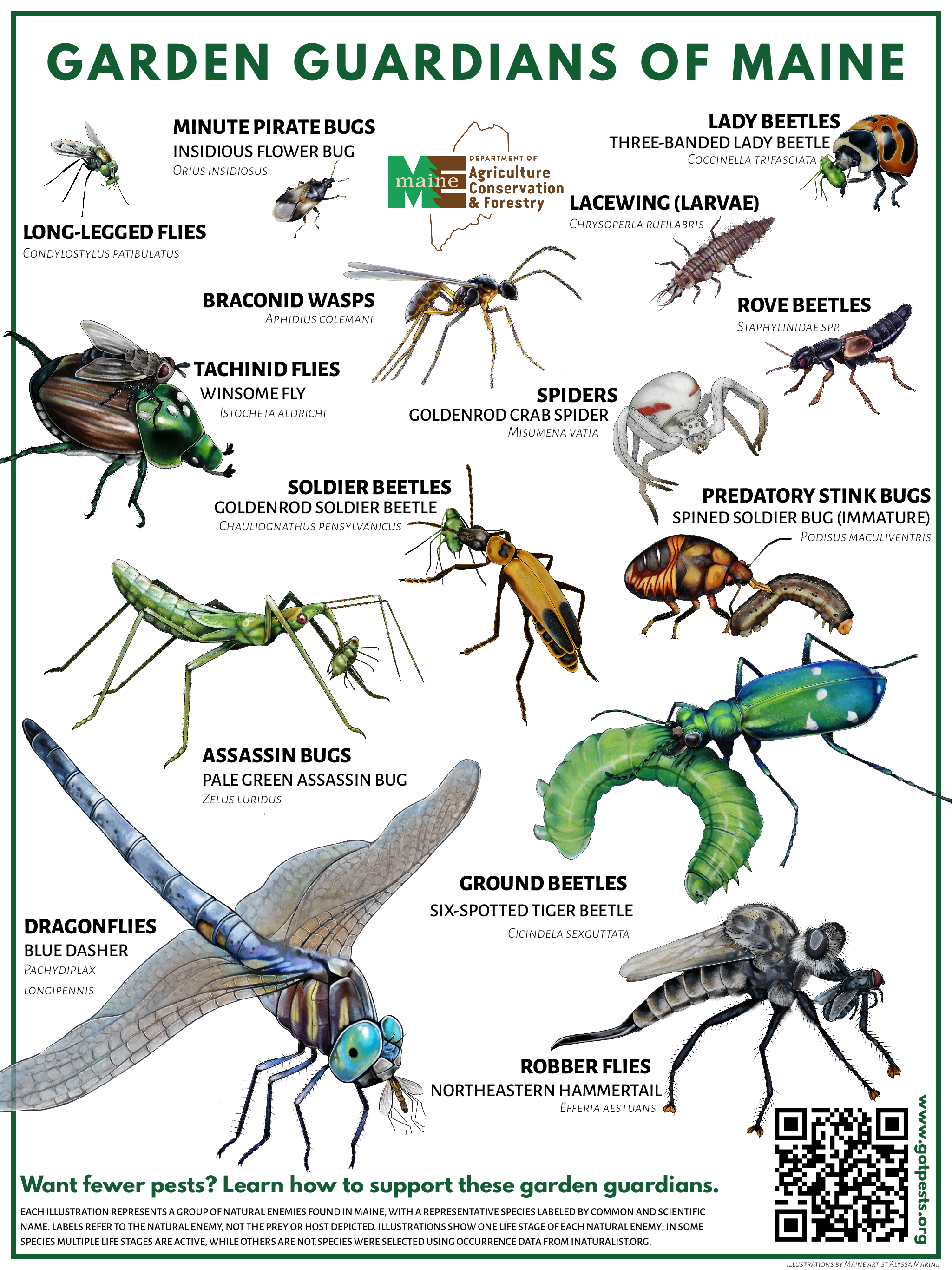 Garden Guardians of Maine