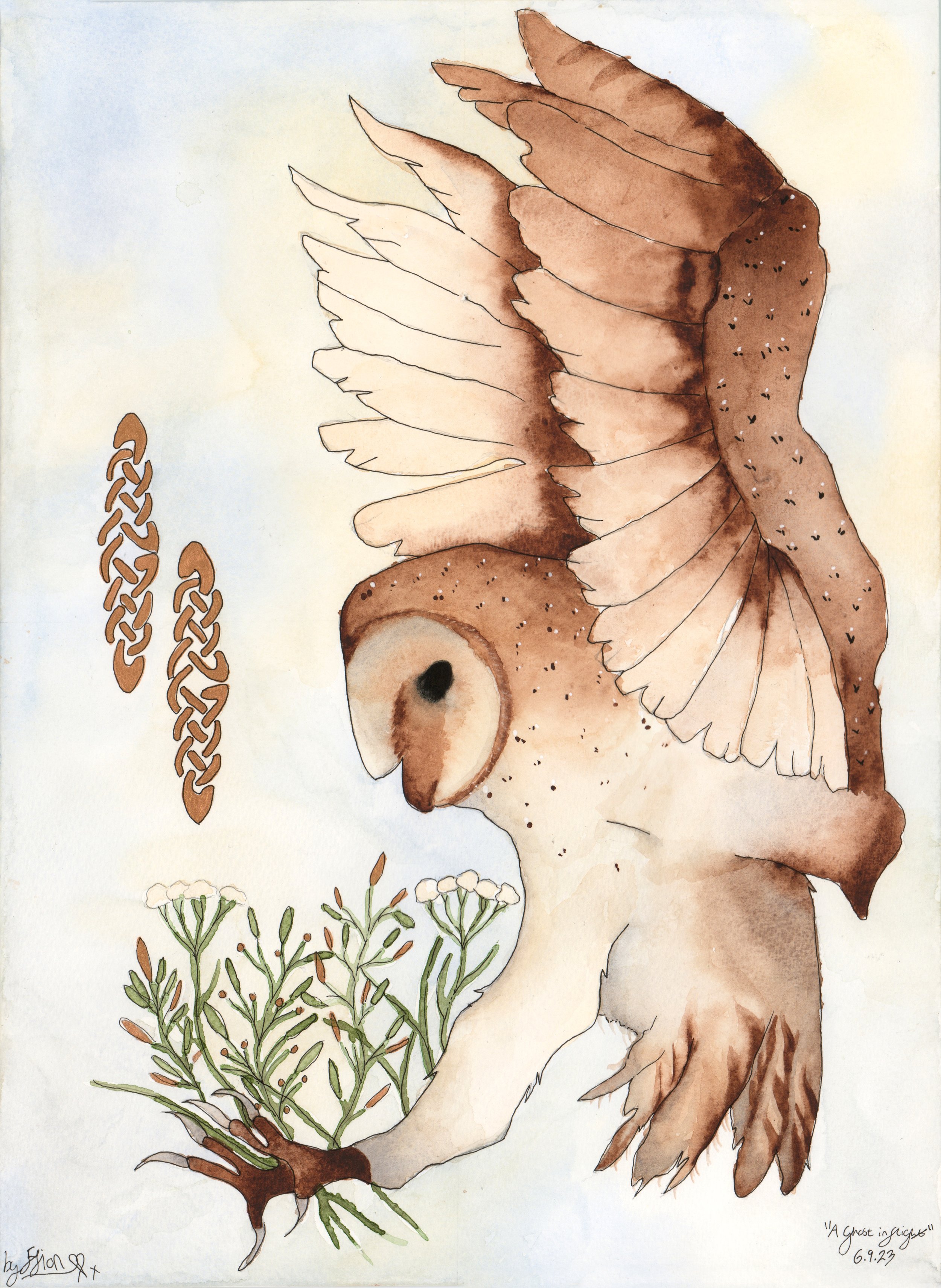 "A Ghost In Flight"