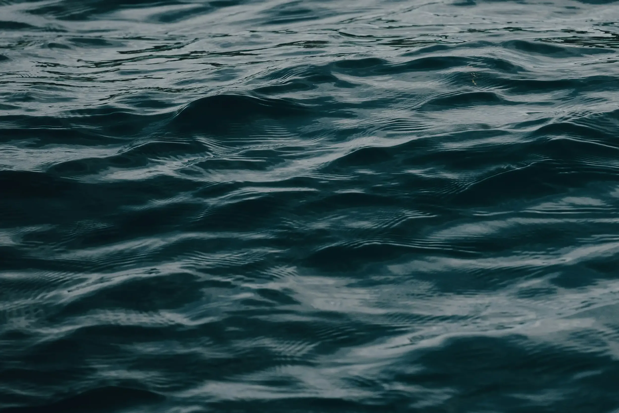 textura_3.webp
