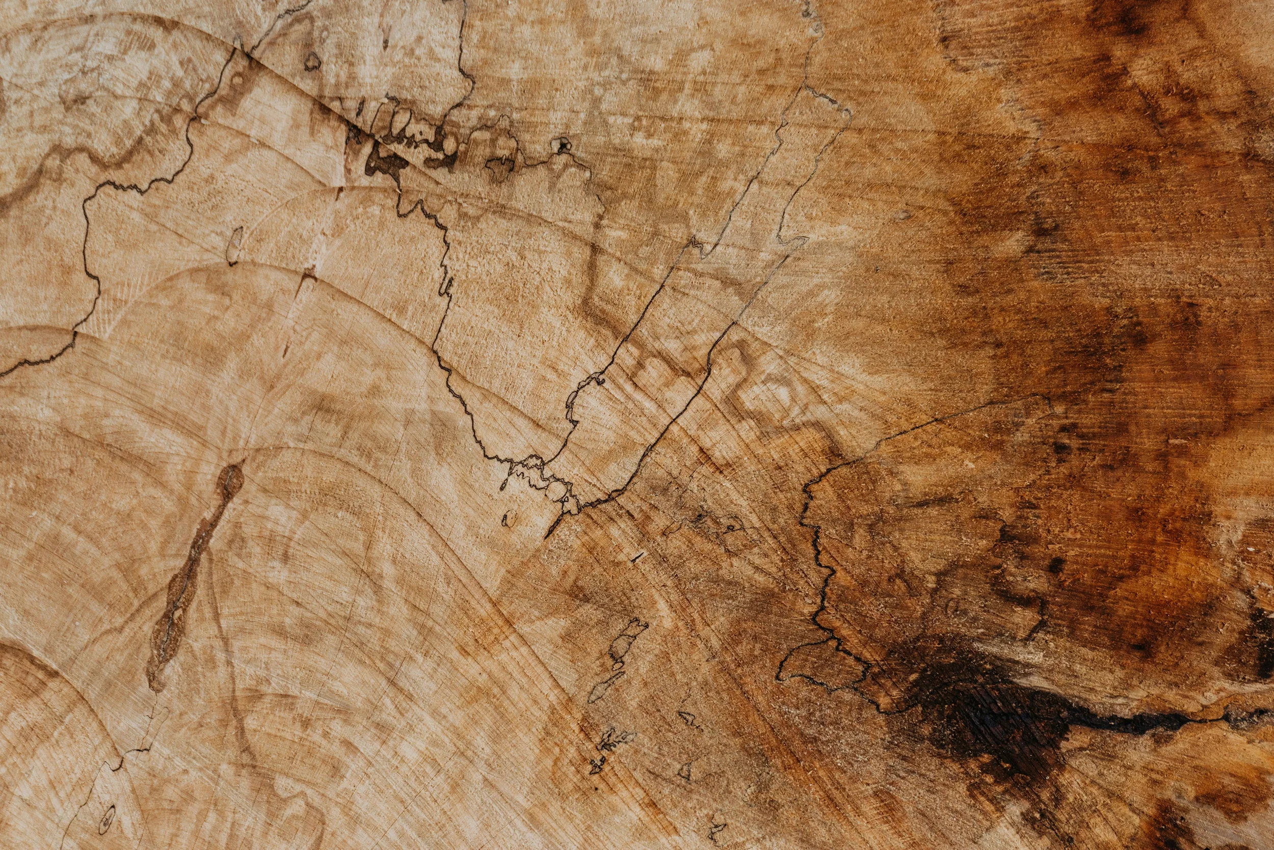 textura_13.webp