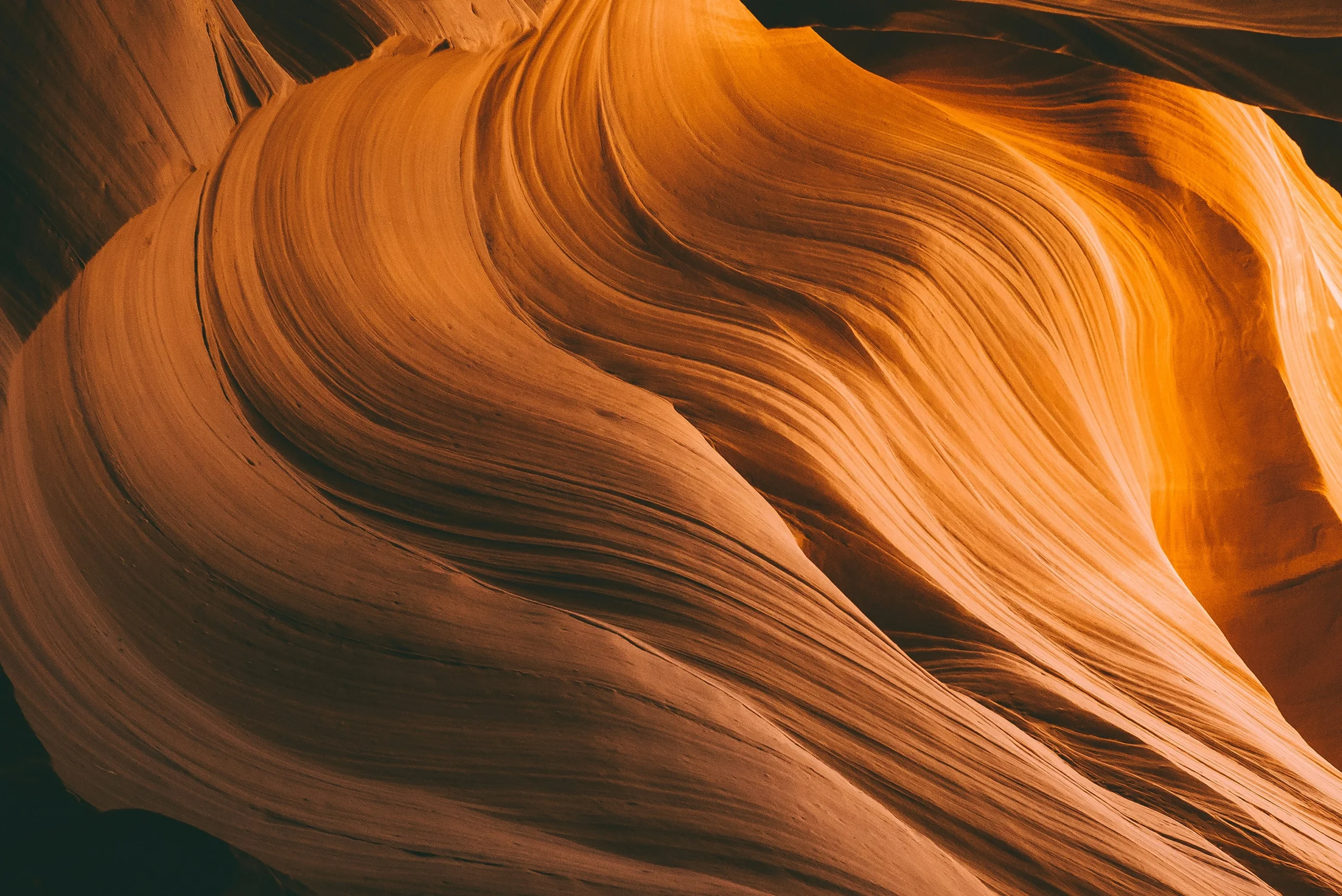 textura_8.webp