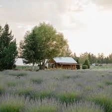 Tumalo Lavender Farm Yoga &amp; Sound