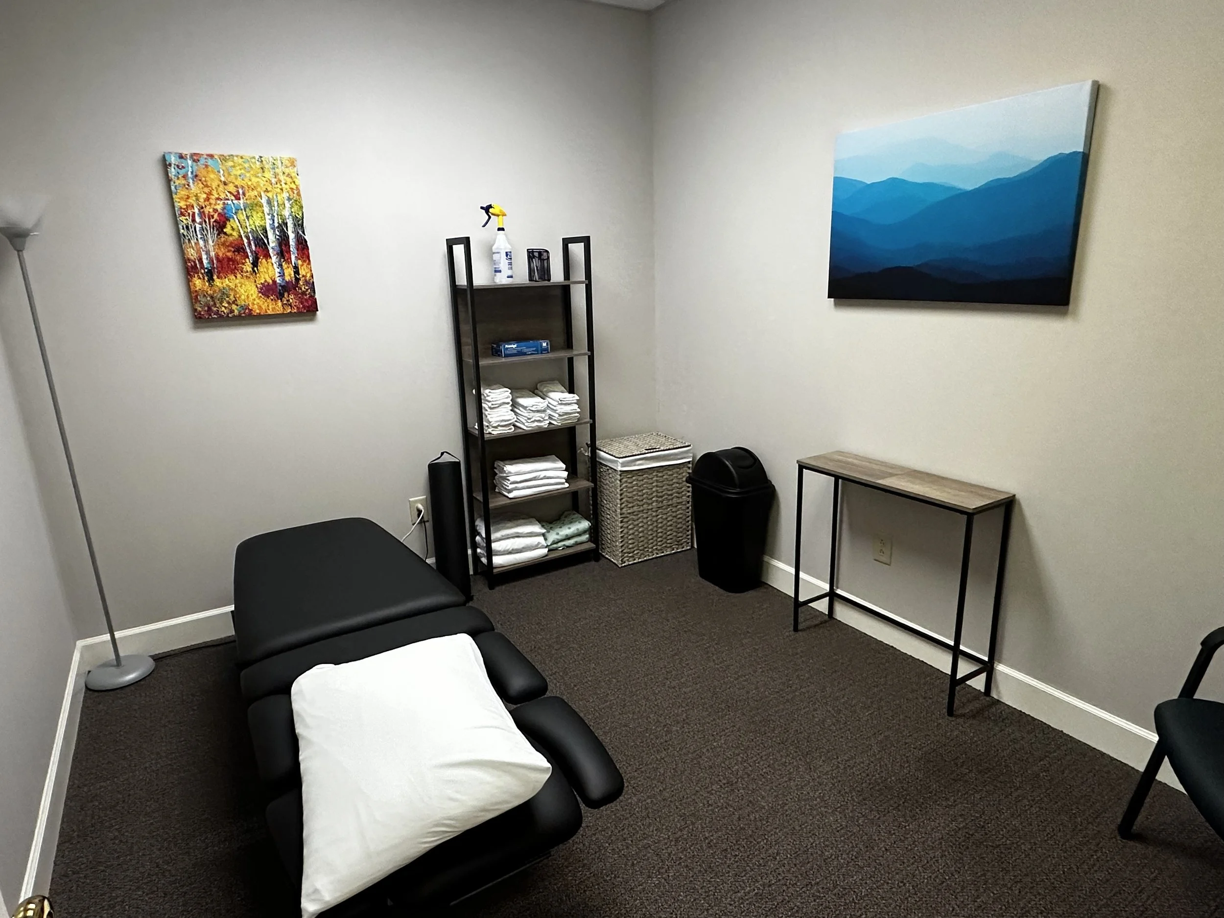 Private physical therapy treatment room in Greenville, SC