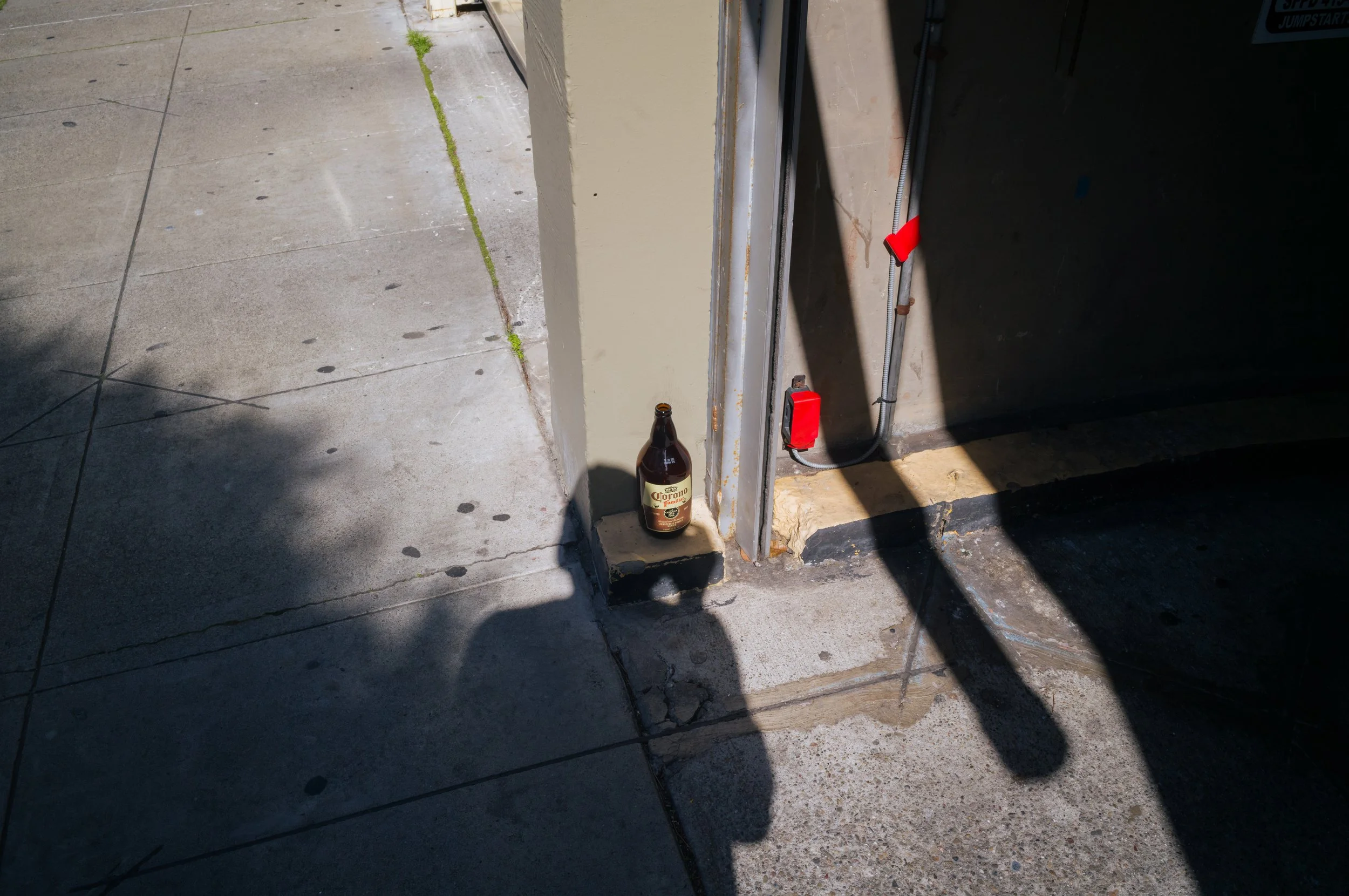 L1035158.jpg