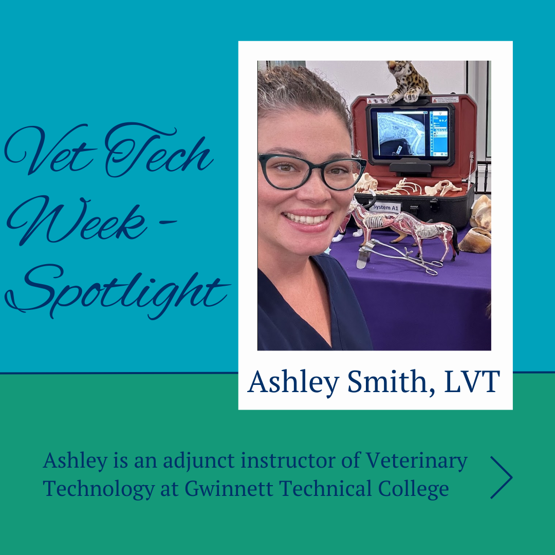 Vet Tech Week - Main Photo.png