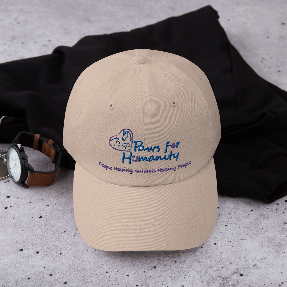 classic-dad-hat-stone-front-644b426184f66.jpg